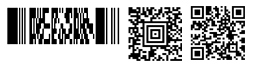 PDF417, Aztec and QR Codes